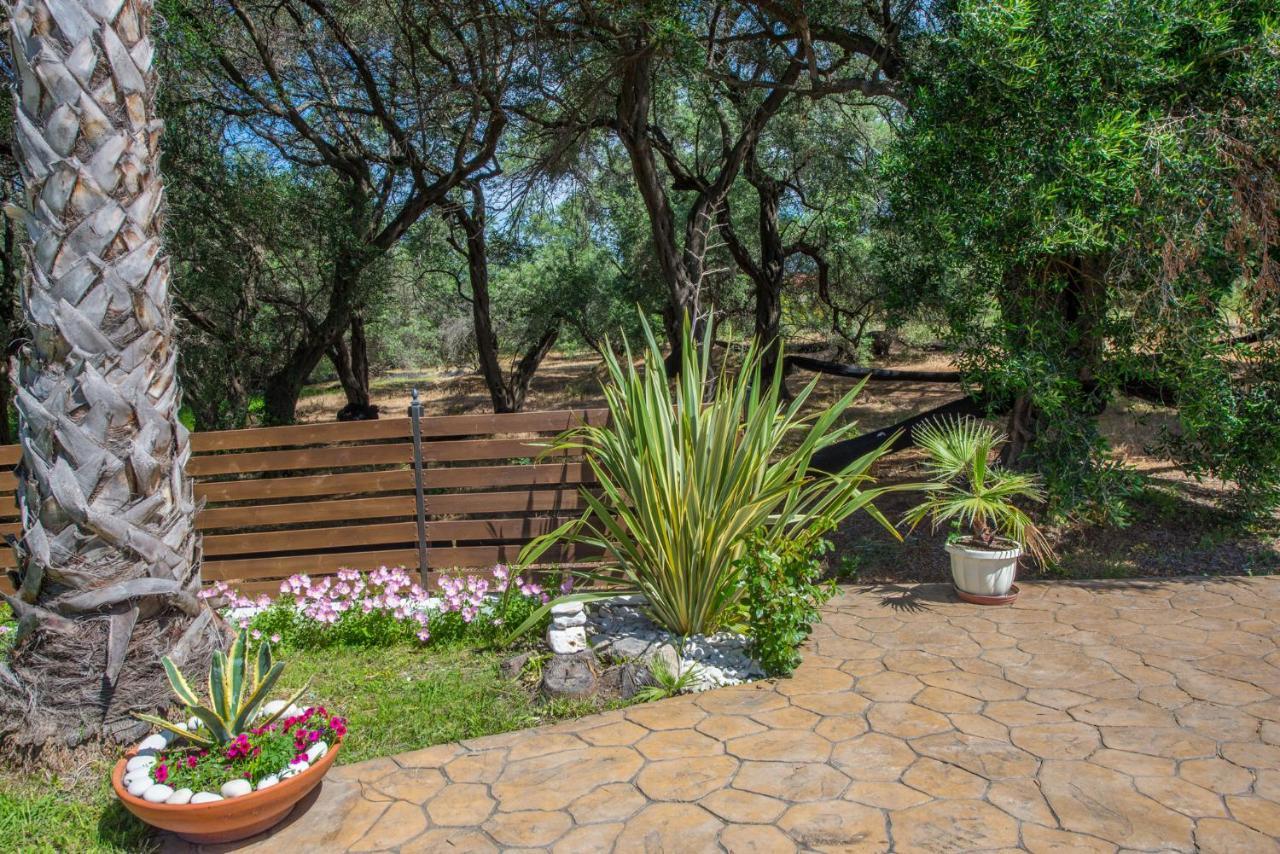 Nicoles Houses Arillas  Luaran gambar